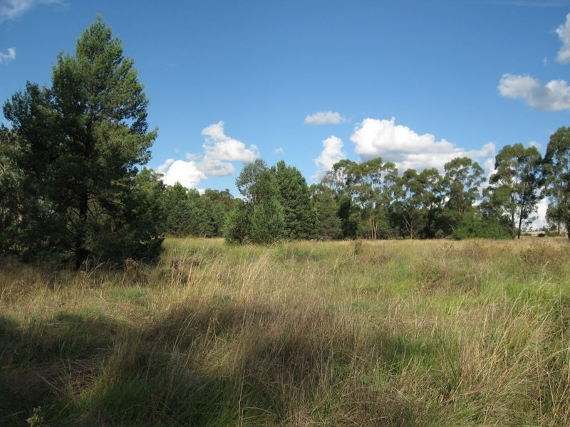 Lot 157 Dwyers Road, Alectown NSW 2870