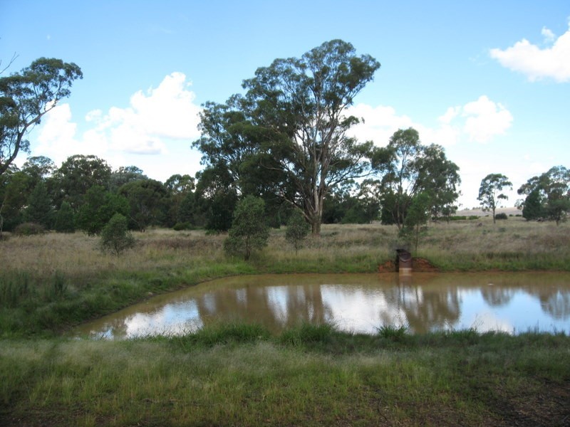 Lot 157 Dwyers Road, Alectown NSW 2870