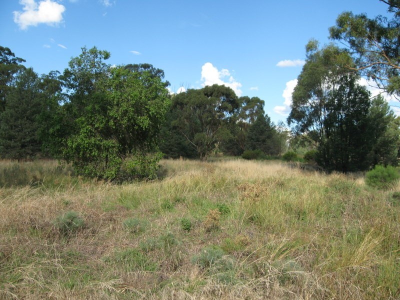 Lot 157 Dwyers Road, Alectown NSW 2870