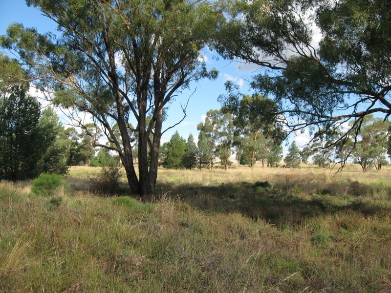 Lot 157 Dwyers Road, Alectown NSW 2870