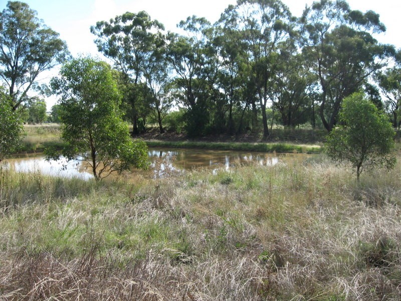 Lot 157 Dwyers Road, Alectown NSW 2870