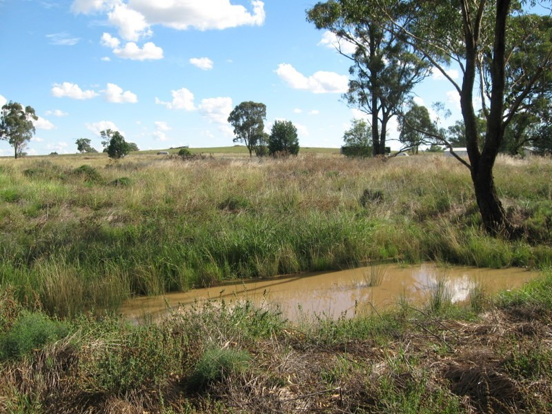 Lot 157 Dwyers Road, Alectown NSW 2870