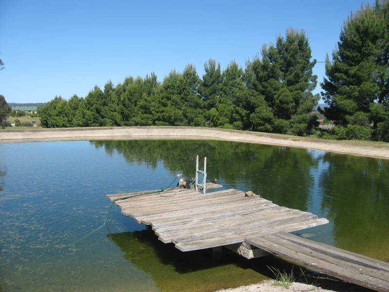 126 Back Yamma Road, Parkes NSW 2870