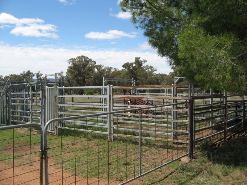 0 Burrill Banks, Alectown NSW 2870