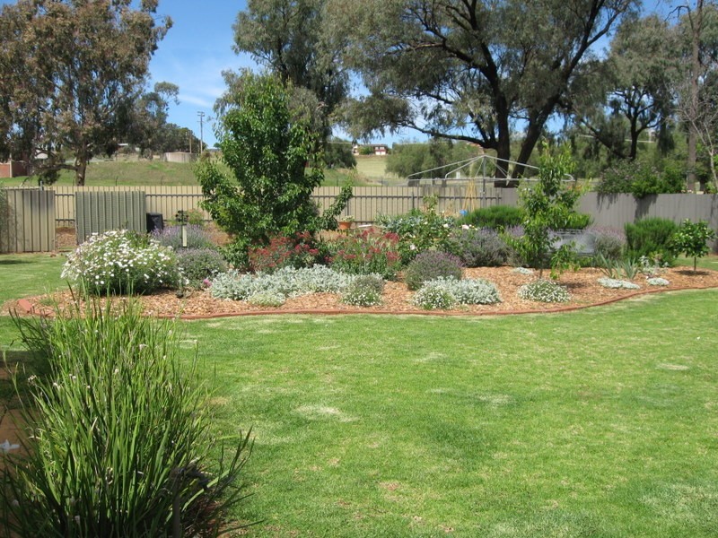 43 Albert Street, Parkes NSW 2870