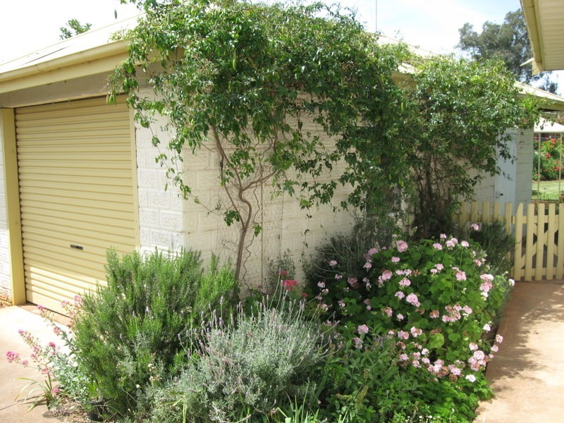 43 Albert Street, Parkes NSW 2870