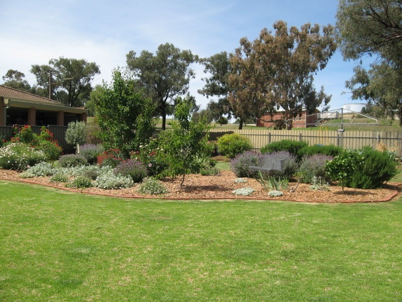 43 Albert Street, Parkes NSW 2870