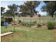 43 Albert Street, Parkes NSW 2870