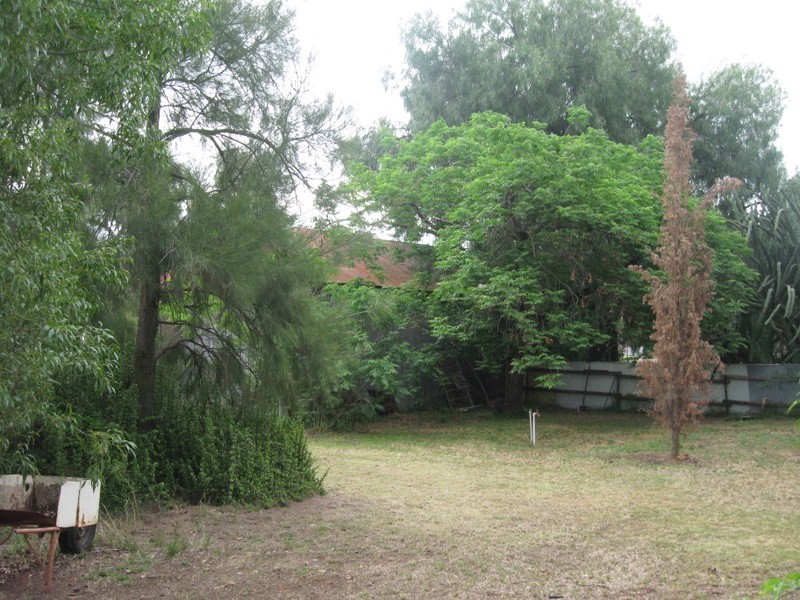 21 Dugga Street, Peak Hill NSW 2869