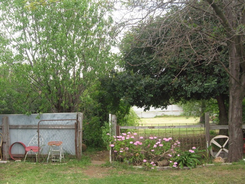 21 Dugga Street, Peak Hill NSW 2869