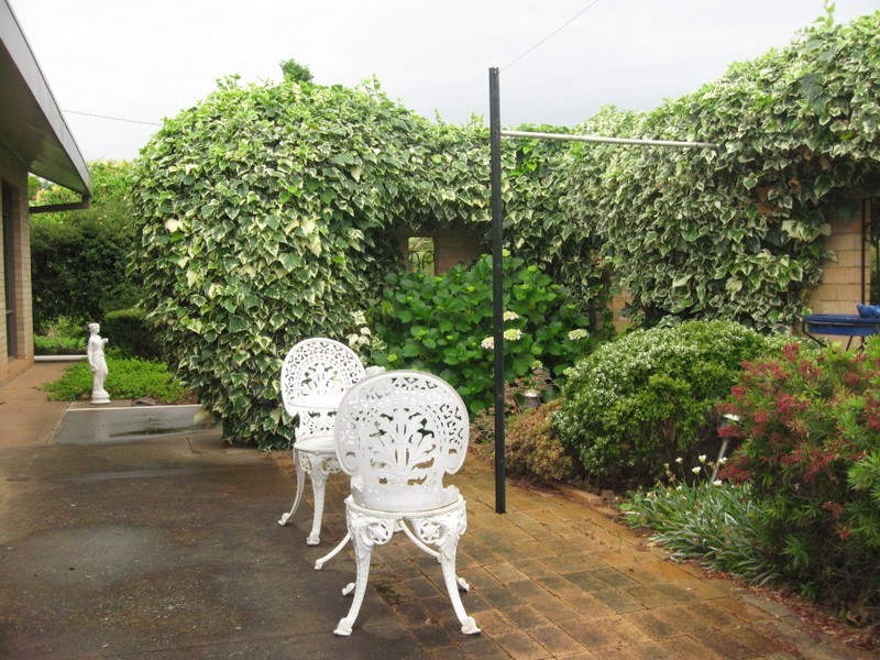 20 Lorking Street, Parkes NSW 2870