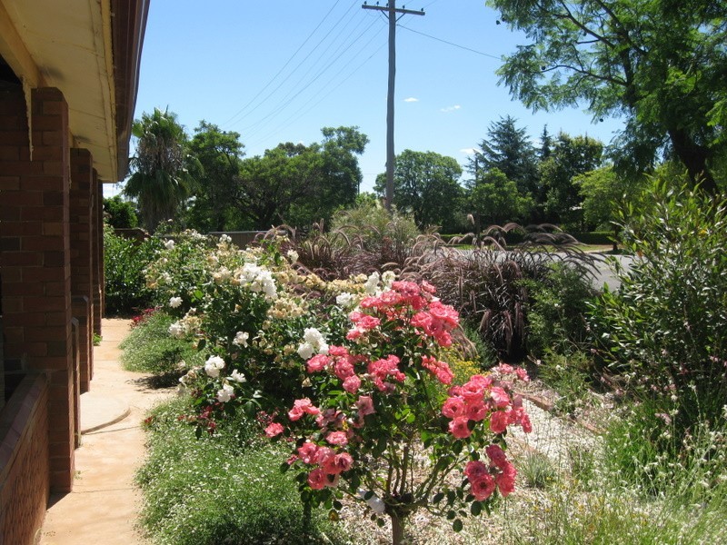 13 Mitchell Street, Parkes NSW 2870