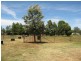 9 Dunns Lane, Parkes NSW 2870