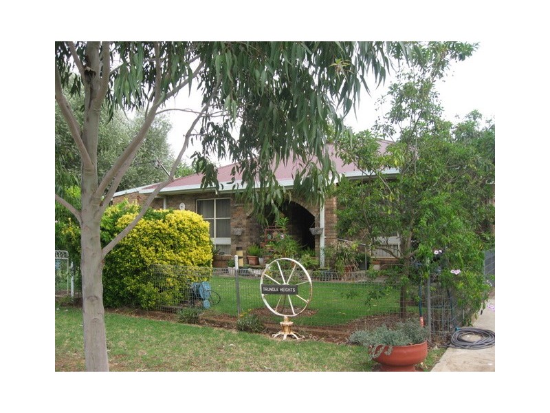 3 Plevna Street, Trundle NSW 2875