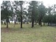 3 Plevna Street, Trundle NSW 2875