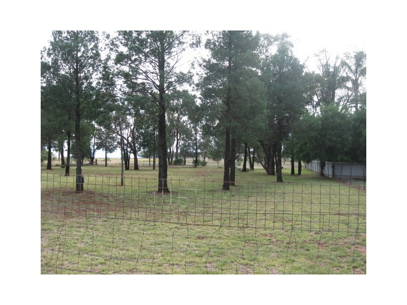 3 Plevna Street, Trundle NSW 2875