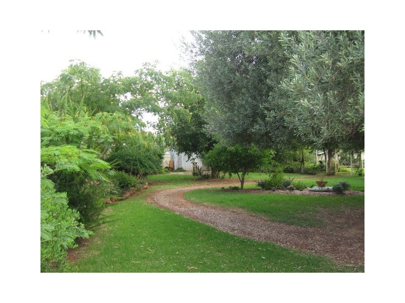 3 Plevna Street, Trundle NSW 2875