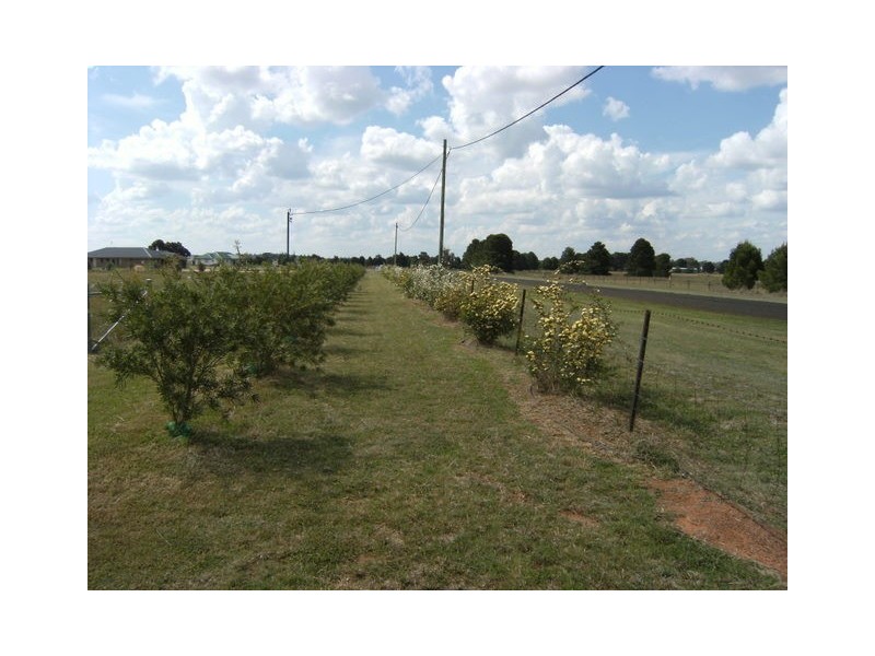 307 Calarie Road, Forbes NSW 2871