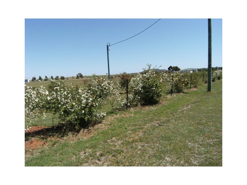 307 Calarie Road, Forbes NSW 2871