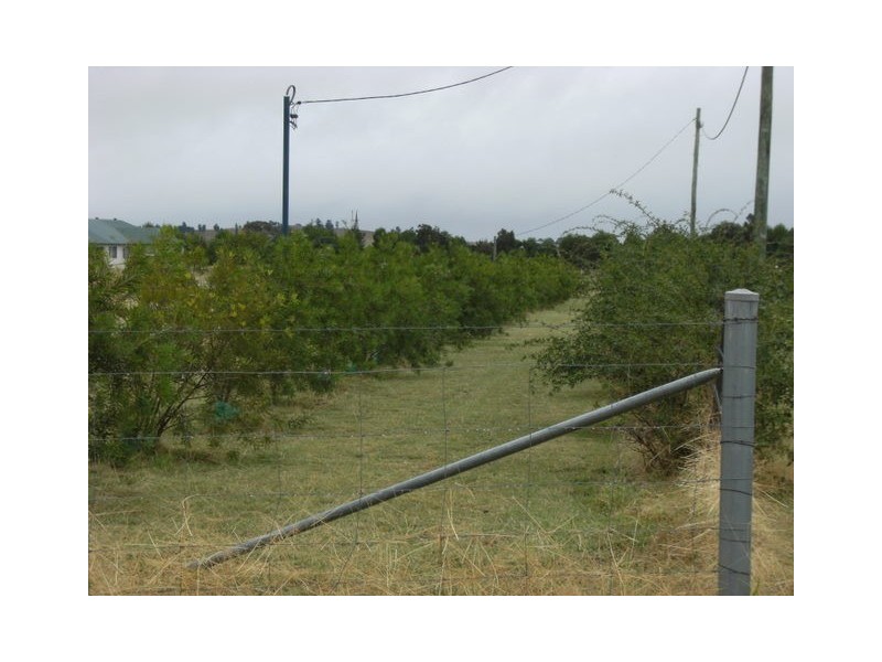 307 Calarie Road, Forbes NSW 2871