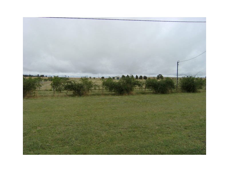 307 Calarie Road, Forbes NSW 2871