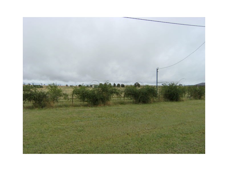 307 Calarie Road, Forbes NSW 2871