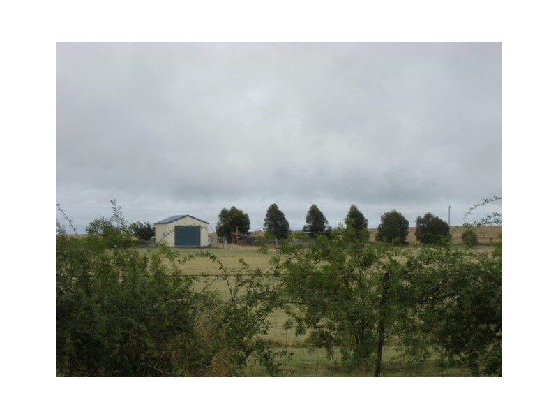 307 Calarie Road, Forbes NSW 2871