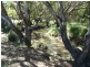 Parkes NSW 2870