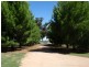 Parkes NSW 2870