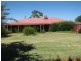 Lumeah Bogan Road, Parkes NSW 2870