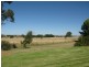 Lumeah Bogan Road, Parkes NSW 2870