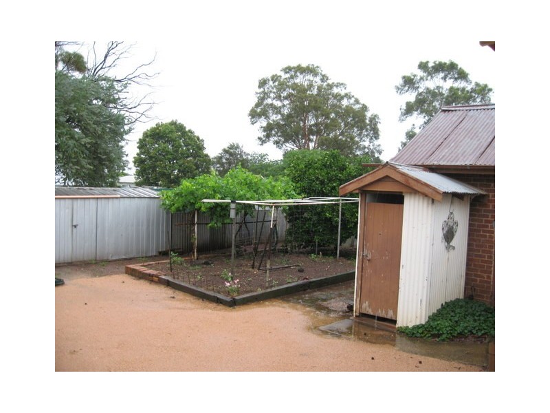 16 Willaroo Street, Peak Hill NSW 2869