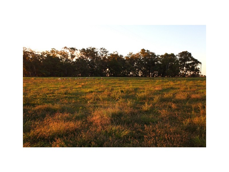 Lot 3 Warregal Road, Parkes NSW 2870