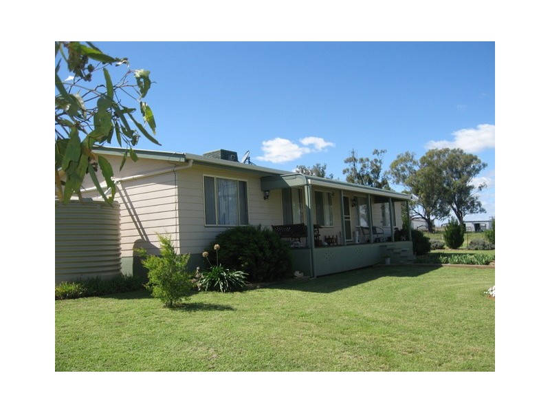 174 Caswell Street, Peak Hill NSW 2869