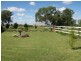 174 Caswell Street, Peak Hill NSW 2869