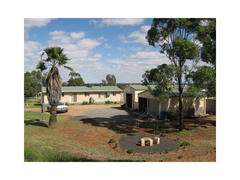 174 Caswell Street, Peak Hill NSW 2869