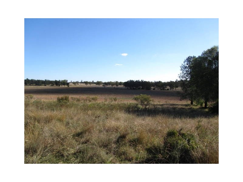 Trewilga NSW 2869