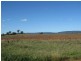 Trewilga NSW 2869