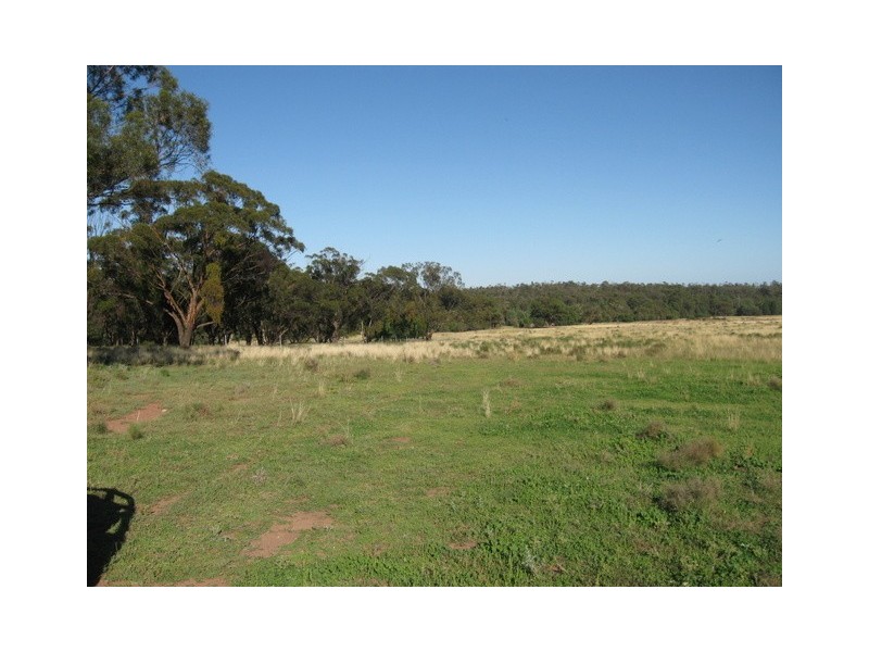 Peak Hill NSW 2869
