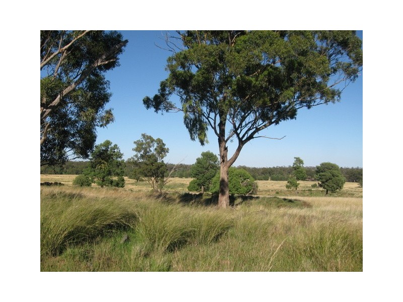 Peak Hill NSW 2869
