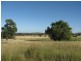 Peak Hill NSW 2869