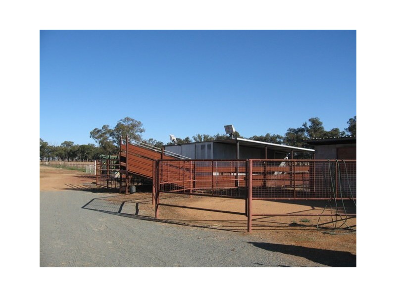 0 ‘Marbil Park’, Peak Hill NSW 2869