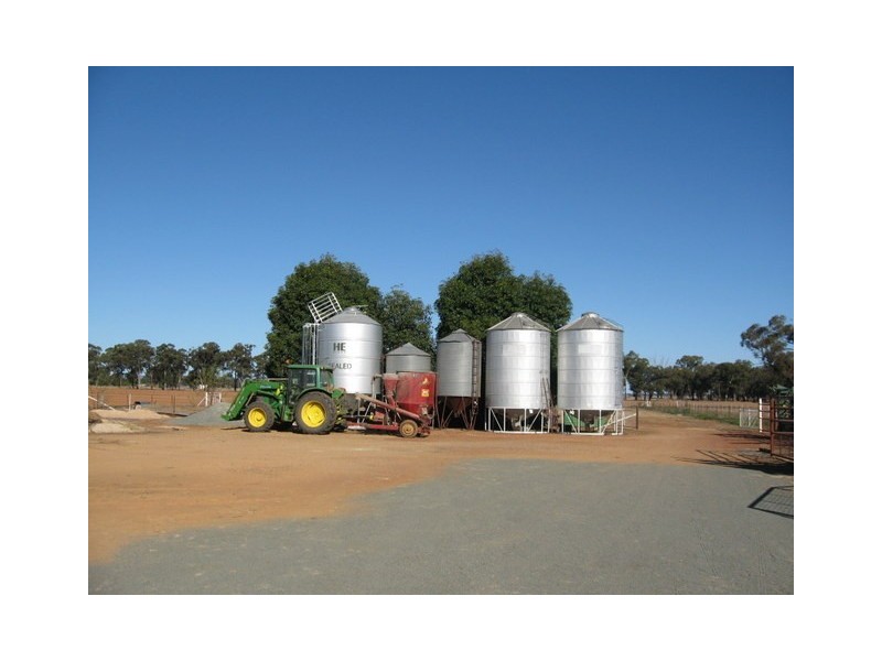 0 ‘Marbil Park’, Peak Hill NSW 2869