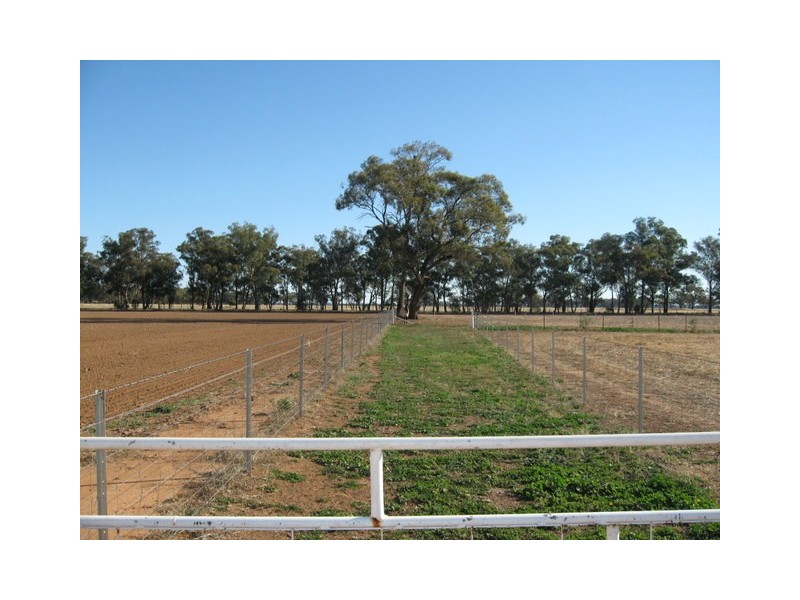 0 ‘Marbil Park’, Peak Hill NSW 2869