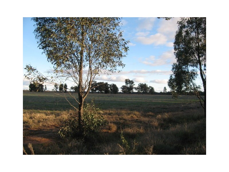 Lot 1 Warregal Road, Tichborne NSW 2870