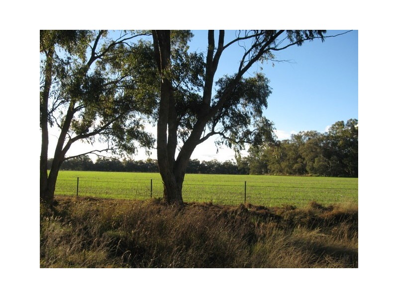 Lot 3 Warregal Road, Tichborne NSW 2870