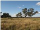 Lot 3 Warregal Road, Tichborne NSW 2870