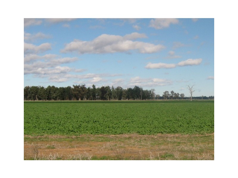 Lot 3 Warregal Road, Tichborne NSW 2870