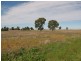 Lot 4 Warregal Road, Tichborne NSW 2870