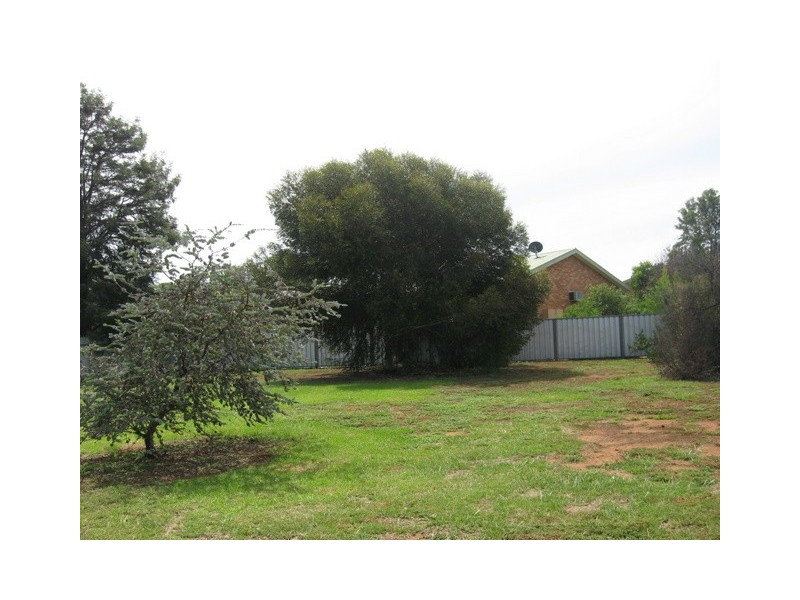 20 Want Street, Parkes NSW 2870